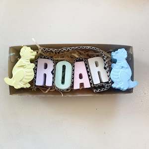 Large Premade Chalk Trays - Roar
