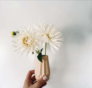 Shelf Finishers: Maya Vase