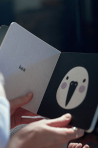 Baby Meets Bird Board Book