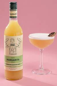 Margarita Mixer