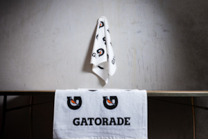 Towel: 1 x Standard Sport Towel