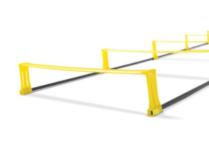 Fitness: SKLZ Elevation Ladder