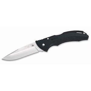 Buck Knives: Buck 285 Bantam BLW Folder Knife 7.9cm
