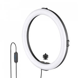 Camera Accessories: Joby Beamo Ring Light 12 Inch