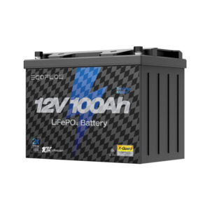 Portable Power: EcoFlow Lithium 12V 100Ah Deep Cycle LiFePO4 Battery