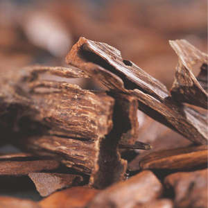 West Indian Sandalwood  12ml Oil