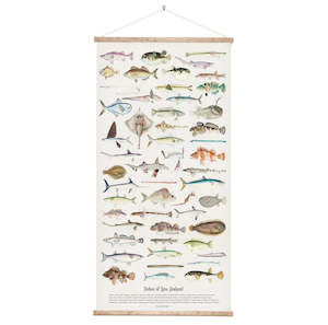 100 Nz: Fishes of New Zealand Wall Chart-Medium