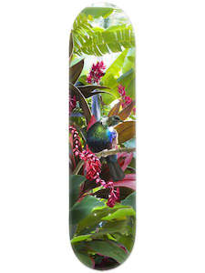 Skatebord Deck - Hope, NZ Tropical Tui (Lucy G)