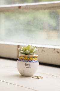Vases Ornaments: Succulent All Kinds Of Amazing