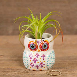 Hanging Succulent Critter Owl