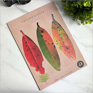 Pop-Out: Pohutukawa Leaves Set