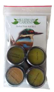 Treasure Your Body: Herbal First Aid Kit I