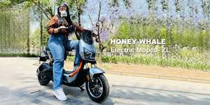 55KM Tubeless 2 Modes-Pedaling & Push to go 55KM/H Electric Moped ZL