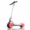 Honey Whale Electric Scooter H2 Twin Motor All Terrain