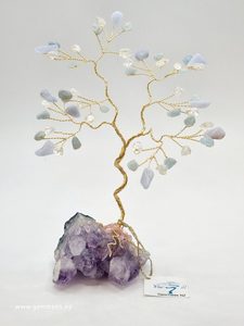Wellness Gemtree