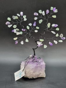 Amethyst GemTree - February Birthstone: Harmony Gemtree