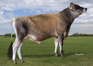Dairy Sires: Valenblast (A22)