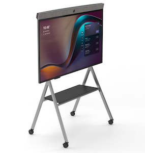 Physical: Neat Board 65" Mounting Options