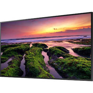Medium Meeting Room Up To 5m X 5m: Samsung QE 65" LCD Digital Signage Display