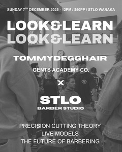 Dunedin Look N Learn: Wanaka 1 Day - Look n Learn