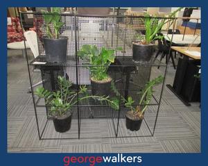 PR6432  Black  Metal Planter Wall Divider