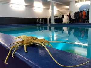 Products: Dive Refresher Course- Get Wet Waikato