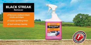Cleaning Lubes: Fenwicks Black Streak Remover 1.0L