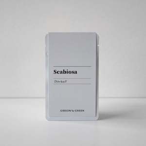 Seeds: Scabiosa, Starball