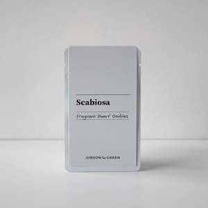 Scabiosa, Fragrant Dwarf Doubles