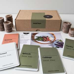 Salad Days Grow Kit