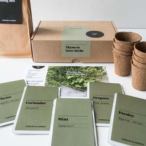 Thyme to Grow Herbs Grow Kit