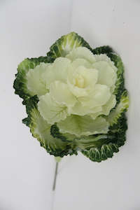 Flowers Foliage: Flower Systems Kale Spray
