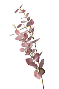 Flowers Foliage: Eucalyptus Spray - Burgundy