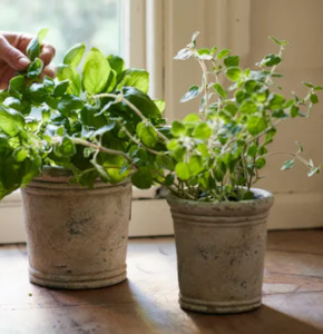 Gris Planter