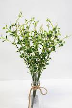 Flowers Foliage: Button Leaf Bush