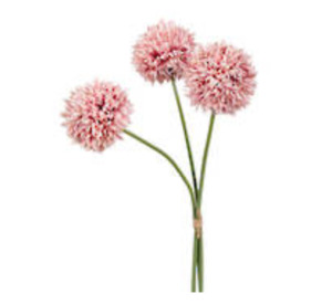Flowers Foliage: Mum Ball Dusky Pink