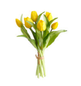 Tulip Bundle Yellow