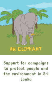 Products: An Elephant (e-card) - Gifted - The Joy of Giving - Charity Gift Donations - Gifts That Make a Real Difference