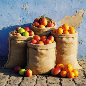 Fruit of Life - Gifted - The Joy of Giving