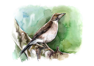 Custom Bird Portrait