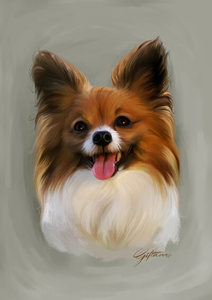 Custom Dog Portrait