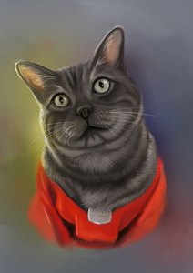 Custom Cat Portrait