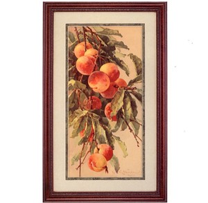 Gifts.net.nz - Nostalgic Collectables