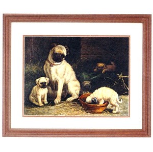 Gifts.net.nz - Nostalgic Collectables