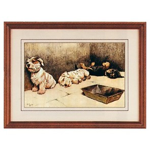 Gifts.net.nz - Nostalgic Collectables