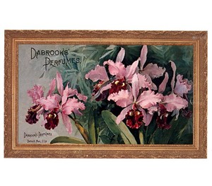 Gifts.net.nz - Nostalgic Collectables