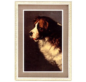 Gifts.net.nz - Nostalgic Collectables