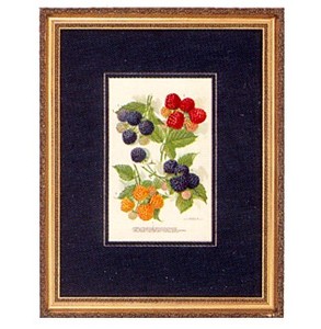 Gifts.net.nz - Nostalgic Collectables