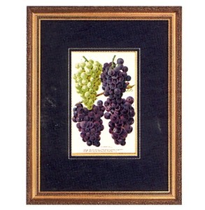 Gifts.net.nz - Nostalgic Collectables