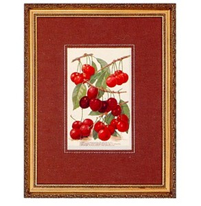 Gifts.net.nz - Nostalgic Collectables